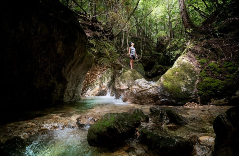 We Run in Order to Be Born