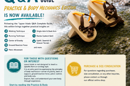Q&A Complete Edition Practical Body Mechanics Edition